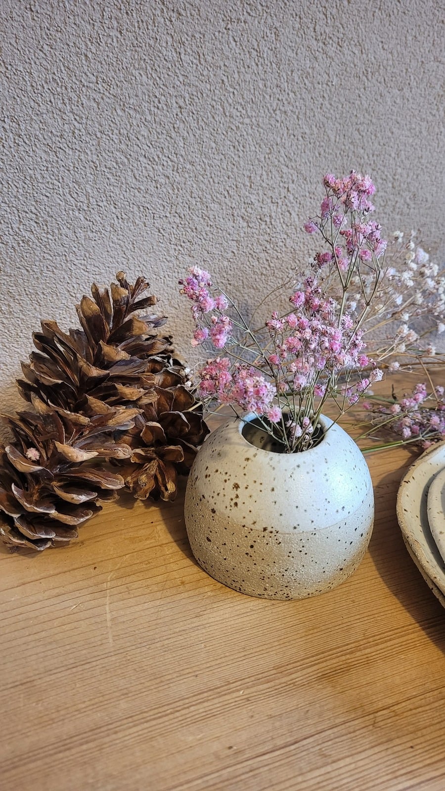 Vase moucheté avec des fleurs séchées et une pomme de pin